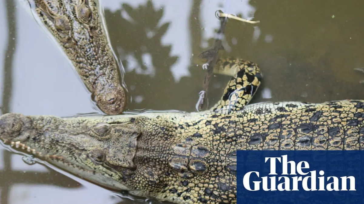 After two tragic incidents in months does safety at English zoos need a rethink?