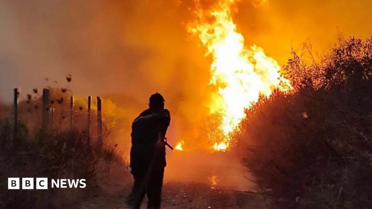 Algeria introduces death penalty for arsonists after deadly wildfires