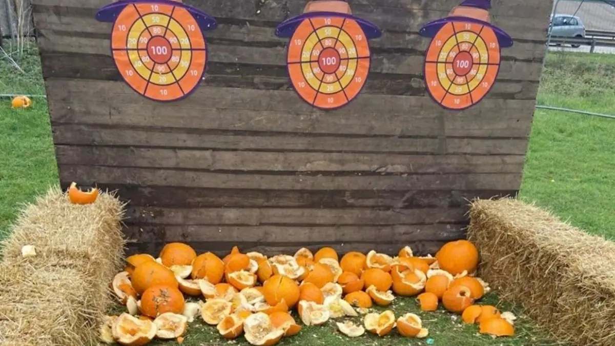 ‘Depressing’ Suffolk pumpkin patch dubbed ‘new Glasgow Willy Wonka experience’ in horror review