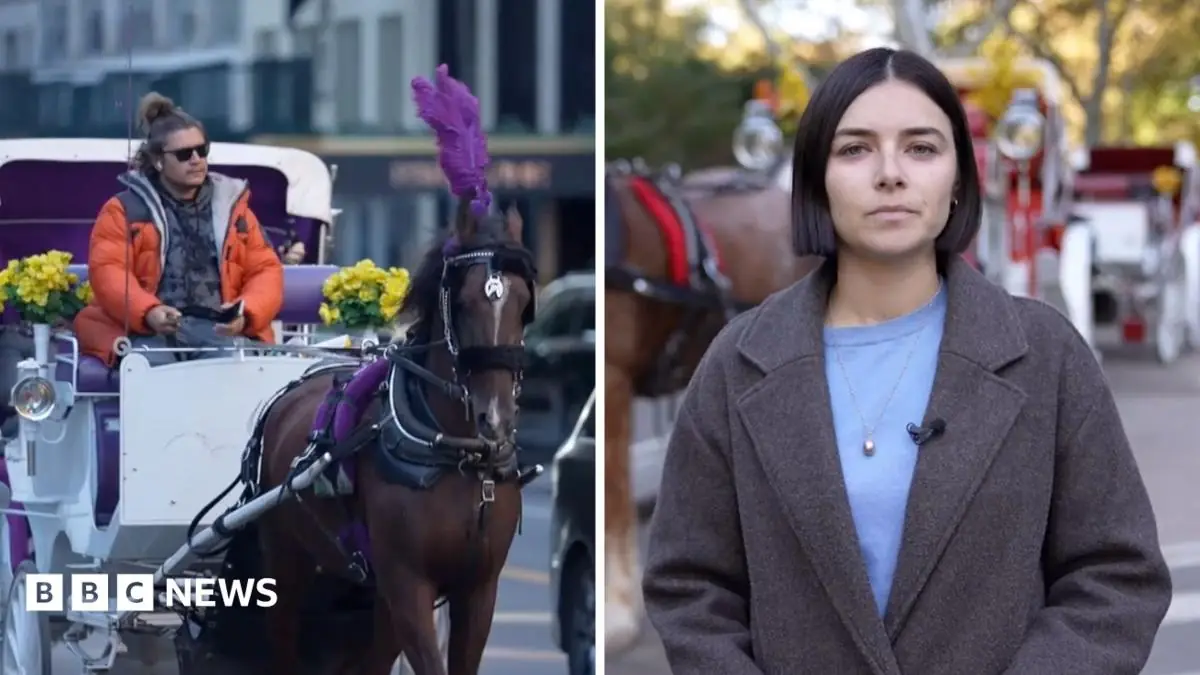 'It's part of the culture' - New York bans horse-drawn carriages after more than 160 years