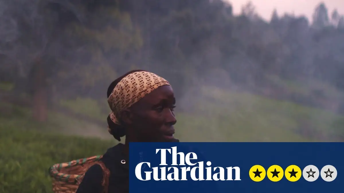 Kikuyu Land review – the colonial-era misery behind our morning cup of tea