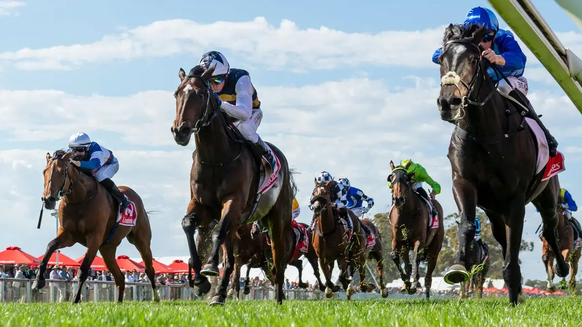 King’s former horse storms to £5 million Melbourne Cup favouritism