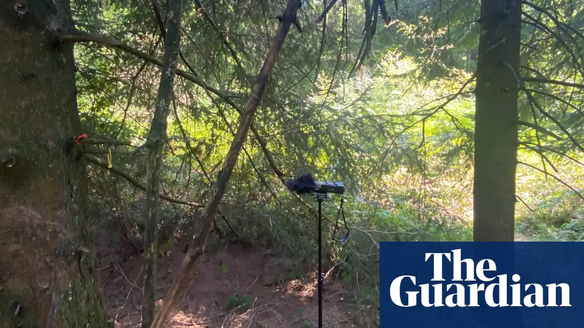 Listen out for Lanny: can Max Porter’s mythic tale of a mulch-guzzler really be heard in this woodland?