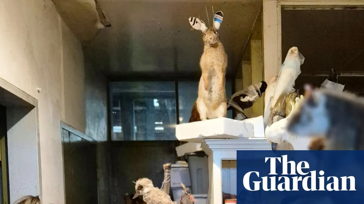 Man fined after 700 frozen and taxidermied animals found on Victorian property