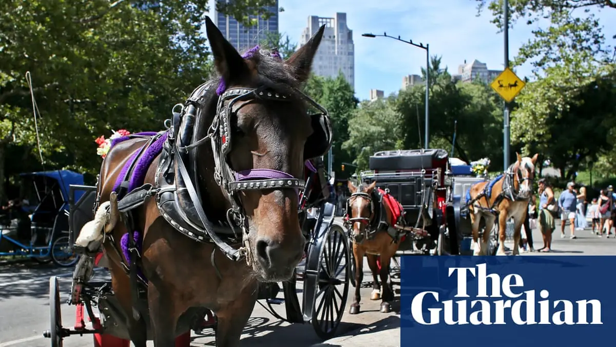 New York City moves to ban horse-drawn carriages