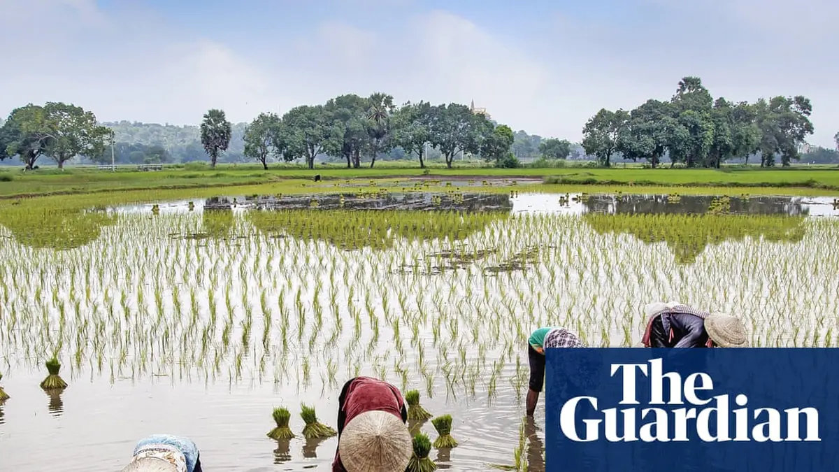 Peasants by Maryam Aslany review – why an ancient way of life may hold the key to our future