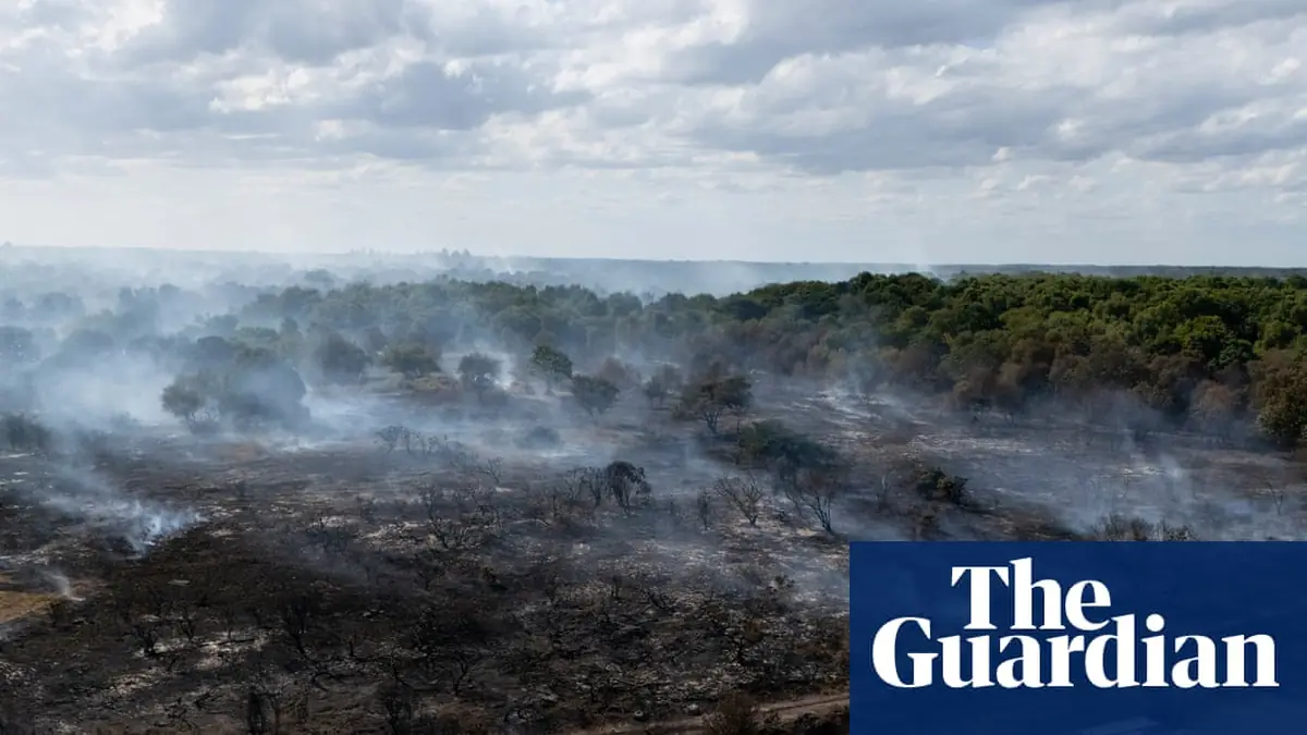 Revealed: Government quietly dropped plan to prepare England for wildfires