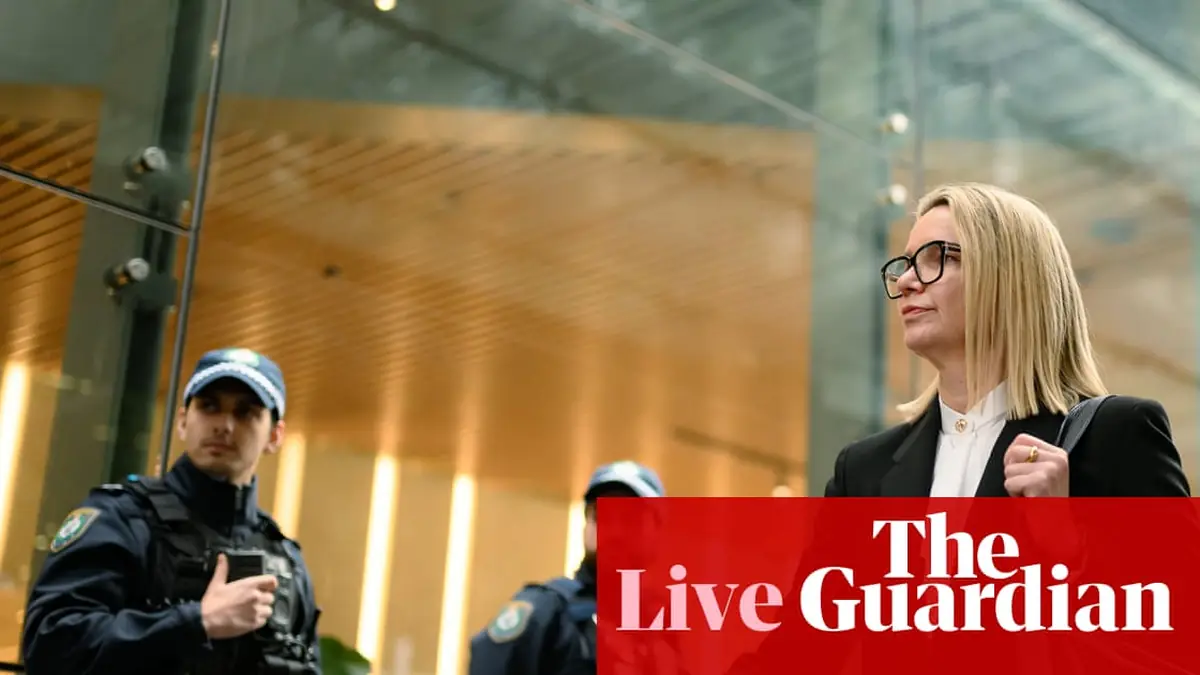 Shoebridge says US submission on online safety laws an ‘extraordinary intervention’ – as it happened