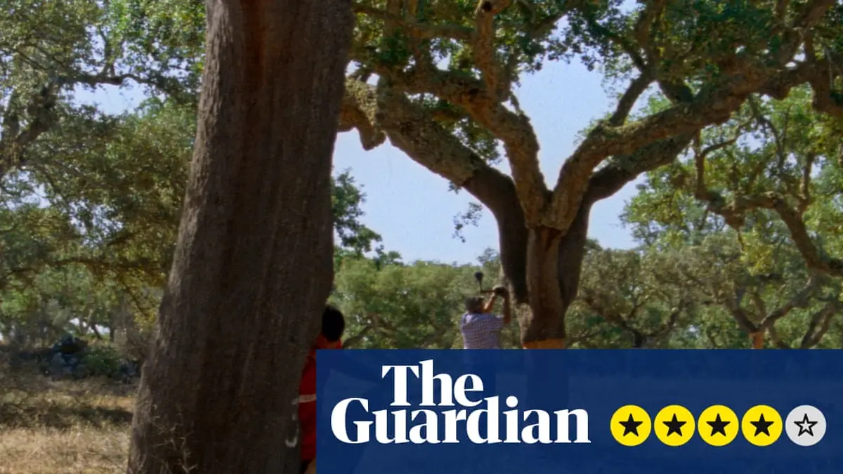 The Seasons review – Portuguese pastoral offers poetic excavation of myth and mapping