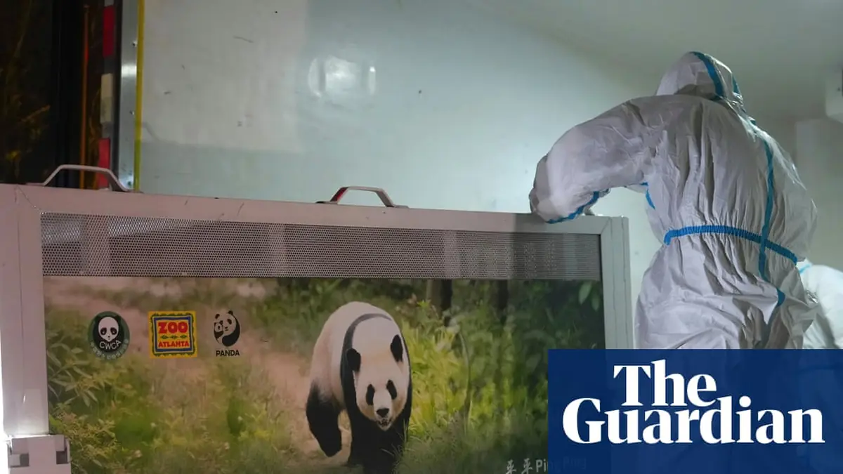 Two giant pandas arrive in Atlanta from China after Xi-Trump summit