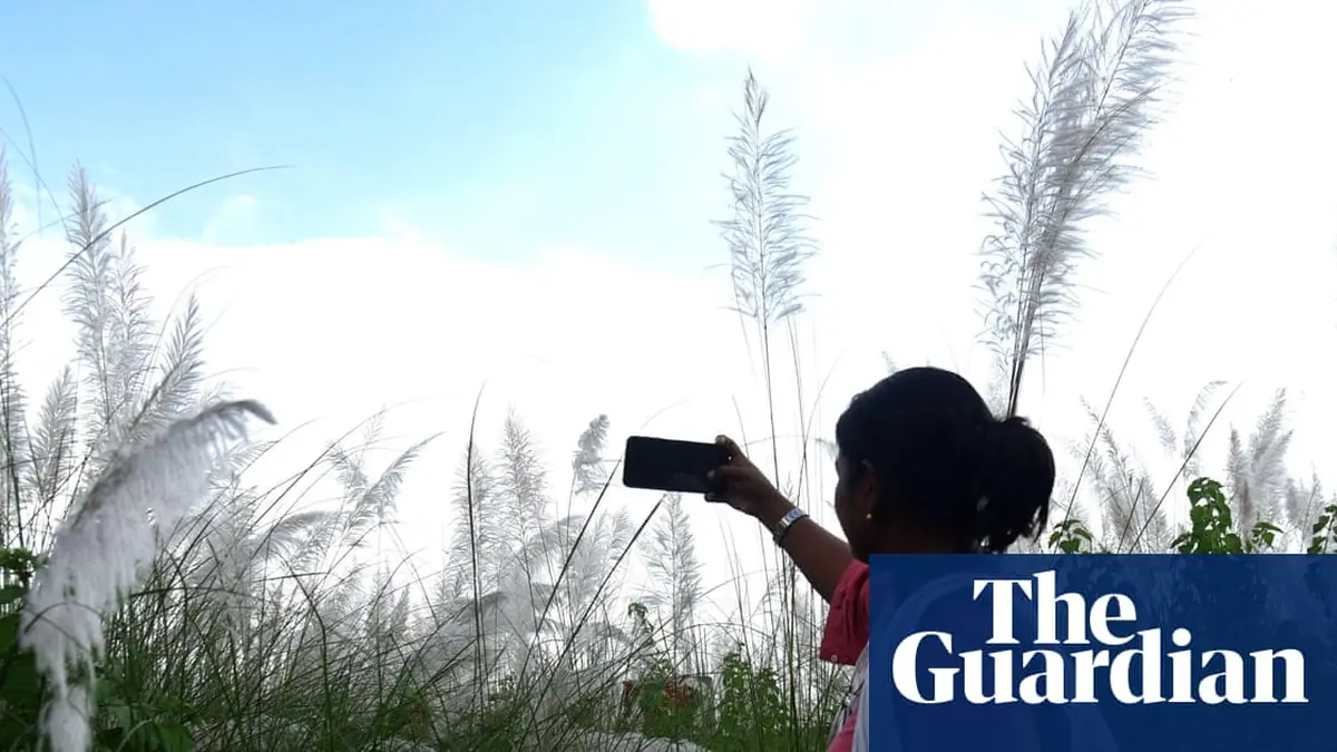 World Bank says ‘small AI’ could transform developing countries