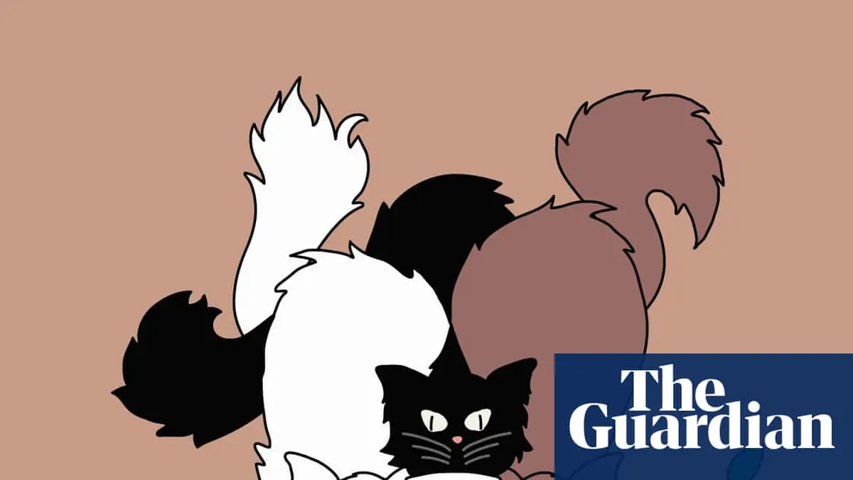 You be the judge: should my husband stop letting our cat drink on the kitchen counter?